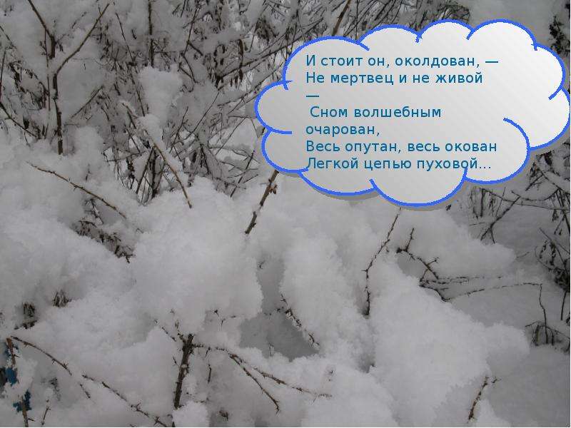 Чародейкою зимою презентация. Легкой цепью пуховой. И стоит он околдован не мертвец и не живой. Тютчев и стоит он околдован не мертвец и не живой. Презентация Чародейкою зимою слайд презентации.