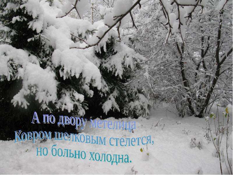 2 класс чародейкою зимой презентация. Больно холодна. Стелится или стелется. Стелется но больно. Но больно холодна или холодно.