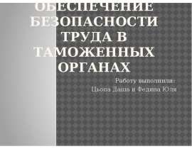Обеспечение безопасности труда в таможенных оРганах Работу выполнили: Цьопа Даша и Федина Юля