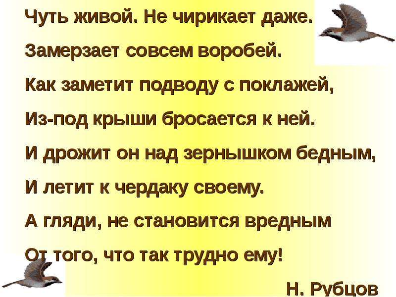 Немного жив. Стих чуть живой не чирикает даже. Чуть живой не чирикает даже замерзает совсем Воробей. Чуть живой не чирикает даже замерзает совсем. Воробей чуть живой не чирикает даже.