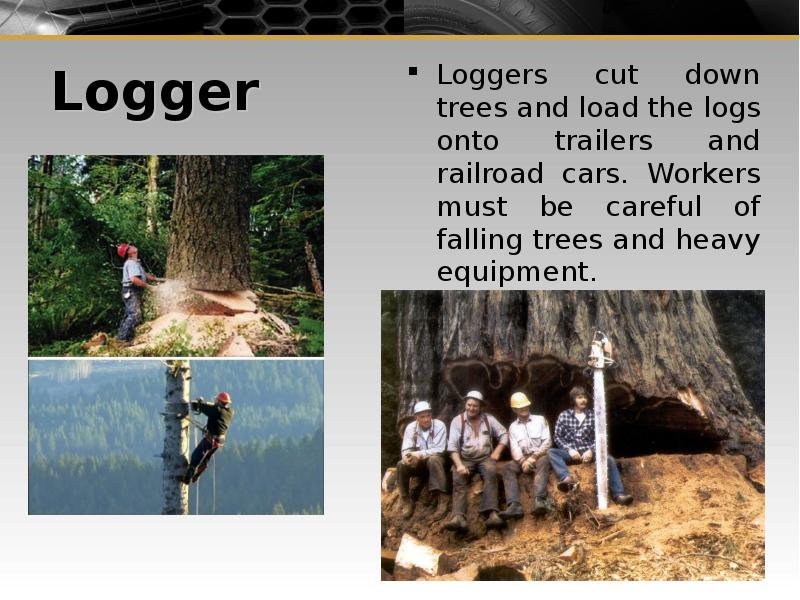 Logger Loggers cut down trees and load the logs onto trailers and railroad cars. Workers must be car