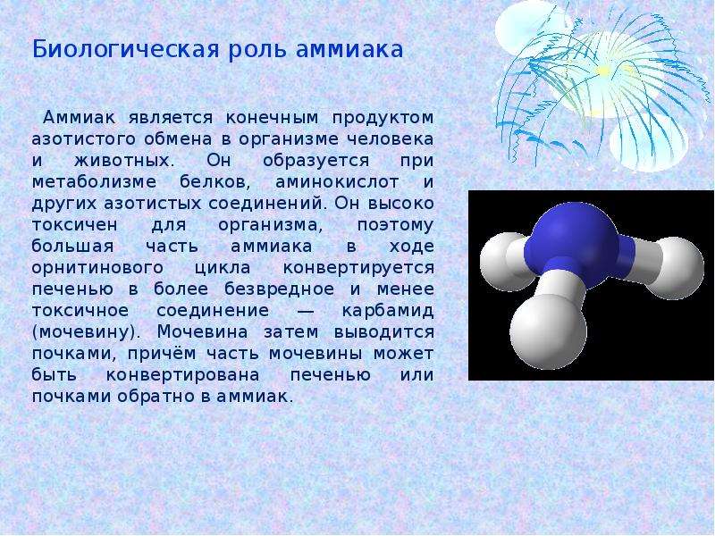 Аммиак химия 9 класс. Аммиак презентация. Аммиак информация. Сообщение про аммиак. Биологическая роль аммиака.