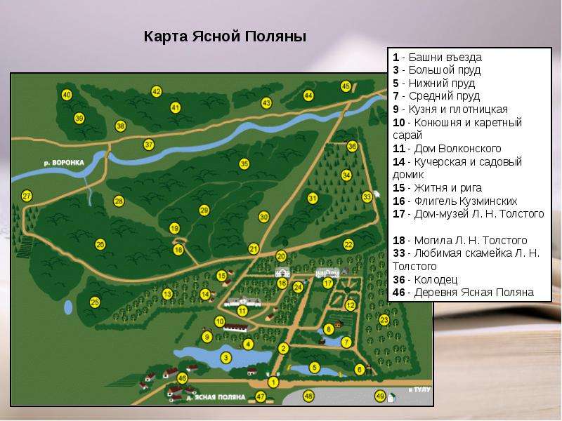 Кадастровая карта ясная поляна