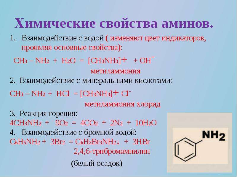 Азотосодержащее органическое соединение амины презентация