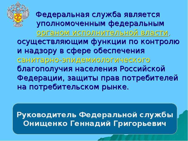 Функции по контролю и надзору. Функциями по контролю и надзору являются. Уполномоченный федеральный орган по контролю и надзору. Федеральные службы это функции по контролю и надзору.