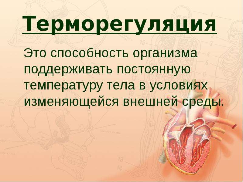 Роль кожи в терморегуляции организма 8 класс презентация