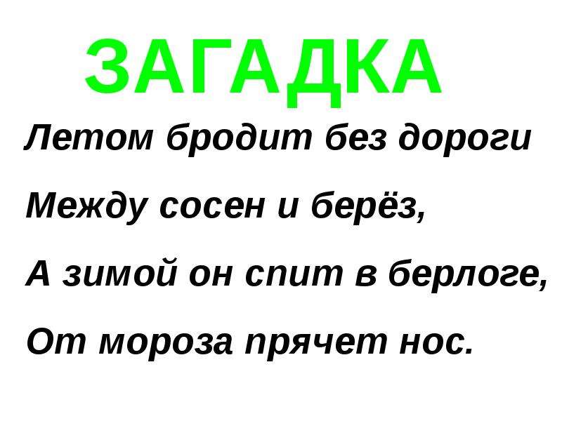 Загадка про медведя. Загадка про медведя для дошкольников. Загадка про медведя для детей. Загадка про медведя для детей 4-5 лет.