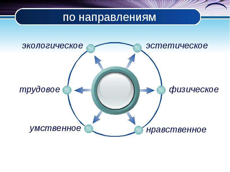 Эффективные формы организации