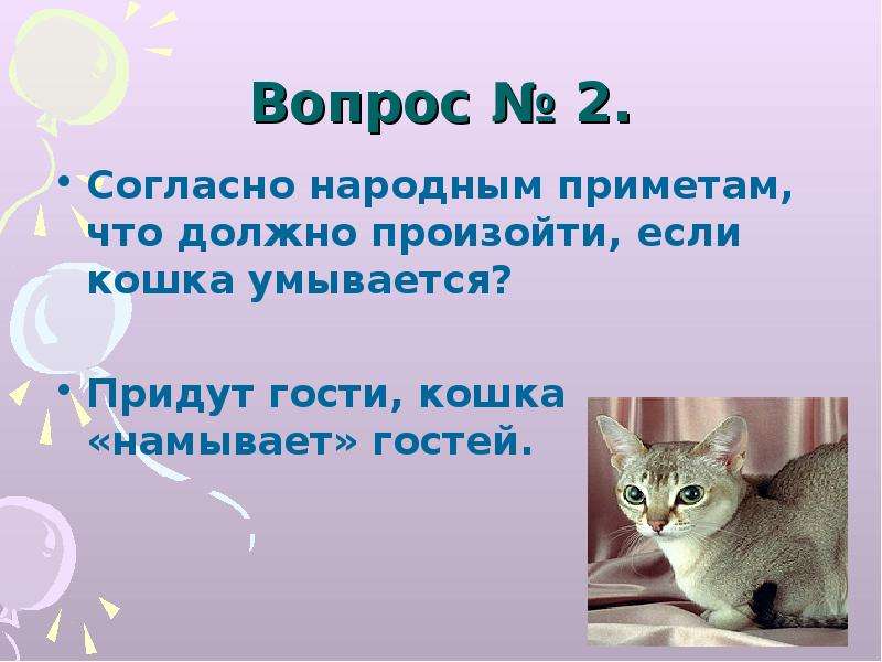 Кошка кошку в гости. Вопросы про кошек. Если кошка умывается примета. Кошка намывает гостей. Народная примета кошка умывает нос.