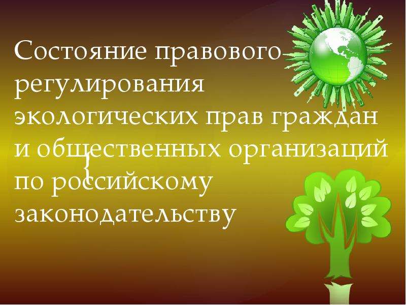 


Состояние правового регулирования экологических прав граждан и общественных организаций по российскому законодательству
