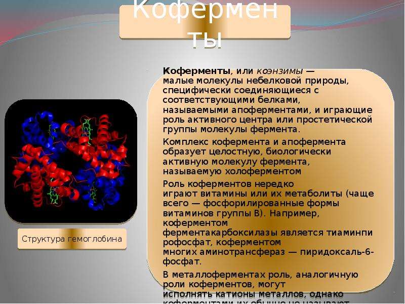 Проект по химии на тему ферменты