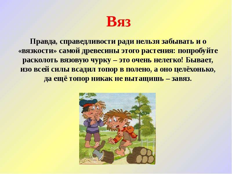 Откуда пришло имя. Лесные имена. Тэкби тоже нужен лес имена персонажей.