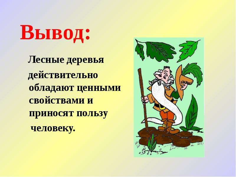 Действительно обладает. Вывод дерево презентация. Заключение к деревьям. Какую пользу приносят деревья человеку. Вывод про древесины.