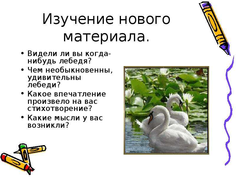 Главная мысль стихотворения лебедушка есенин. Стихотворение Лебедушка Есенин 4 класс. План лебёдушка.