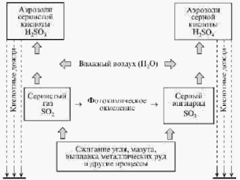 Механизм образования кислотных дождей презентация