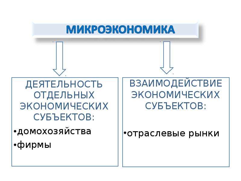 Отдельная деятельность. Субъекты экономической науки. Инвестиции в микроэкономике. Взаимодействие фирмы и государства.Микроэкономика. Институциональная экономика типы субъектов Микроэкономика.