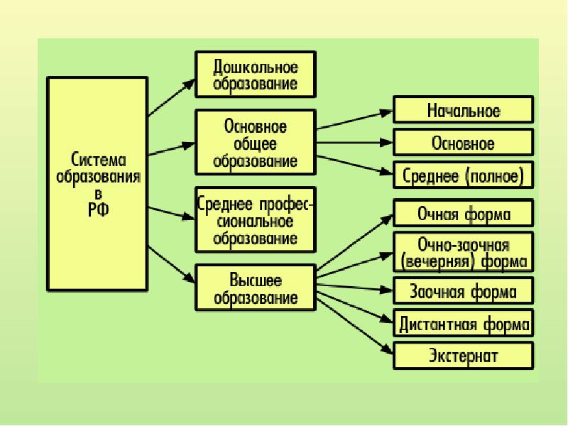 Образовательное право схема