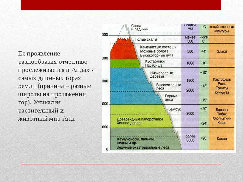 Почему в андах высокая плотность