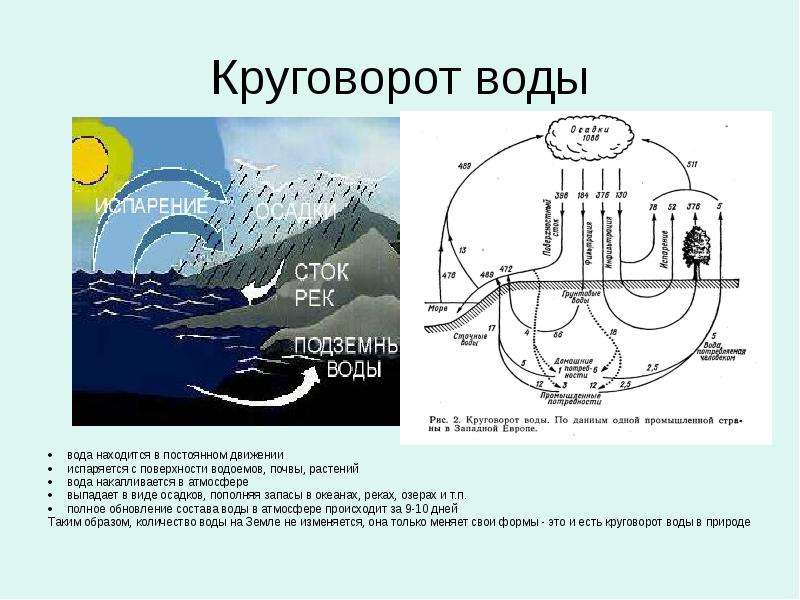 Вода находится в постоянном. Круговорот воды в озере. Виды круговоротов воды. Циркуляция воды в Озерах. Круговорот в океане.