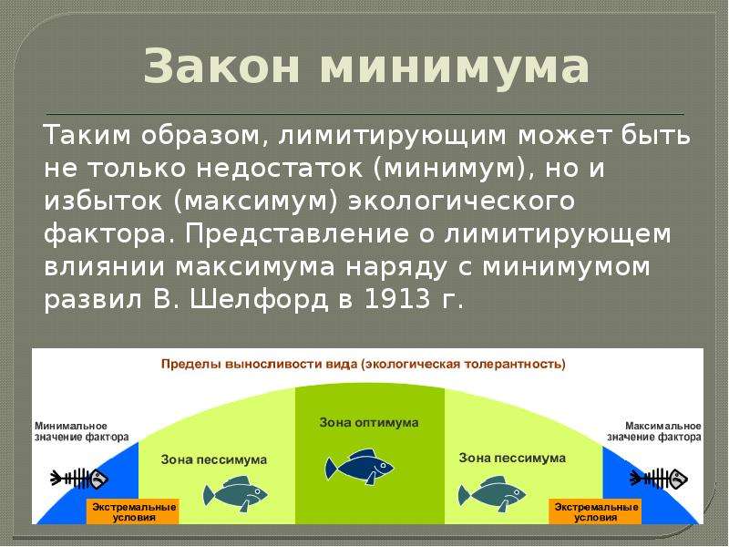 Экологические факторы презентация