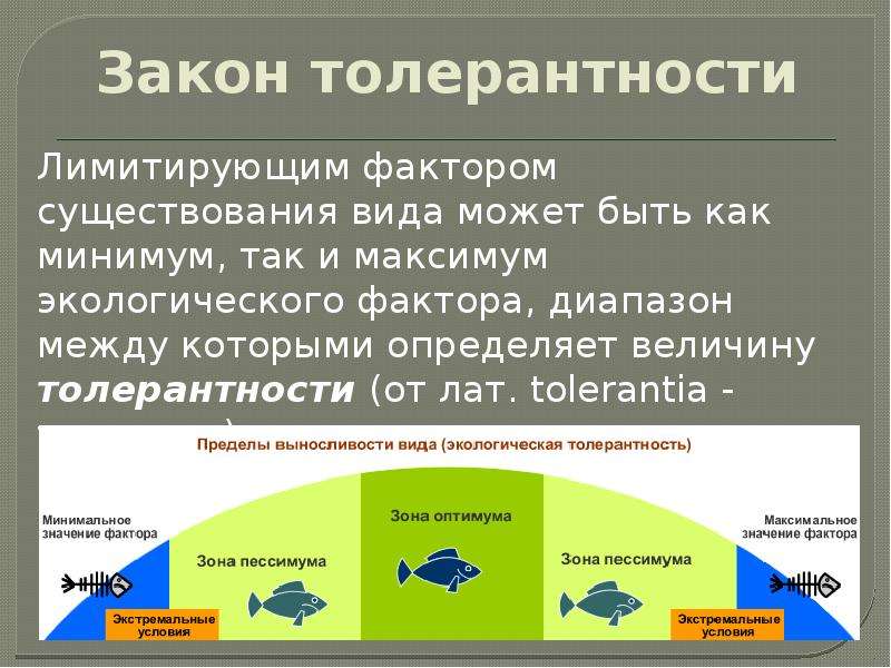 Закономерность влияния