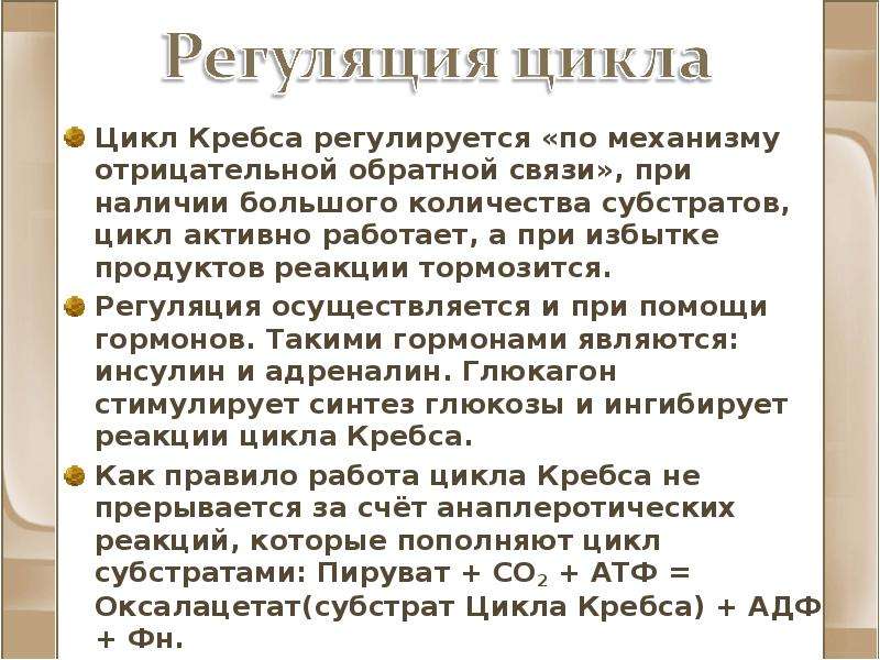 Цикл кребса презентация