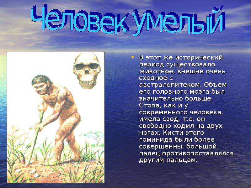 Период существовавший. Австралопитек период существования. Таблица австралопитеки человек умелый. Движущие силы австралопитеков. Объем мозга австралопитека составлял в см3.