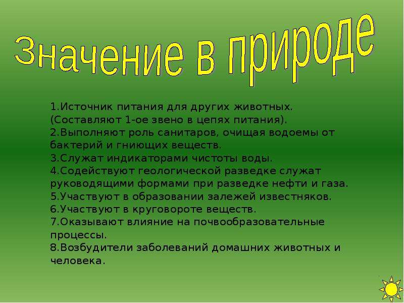 Выполнить значение. Животные в природе и жизни человека. Значение амебы в природе и жизни человека. Значение амёбыв природе. Значение амебы в природе.