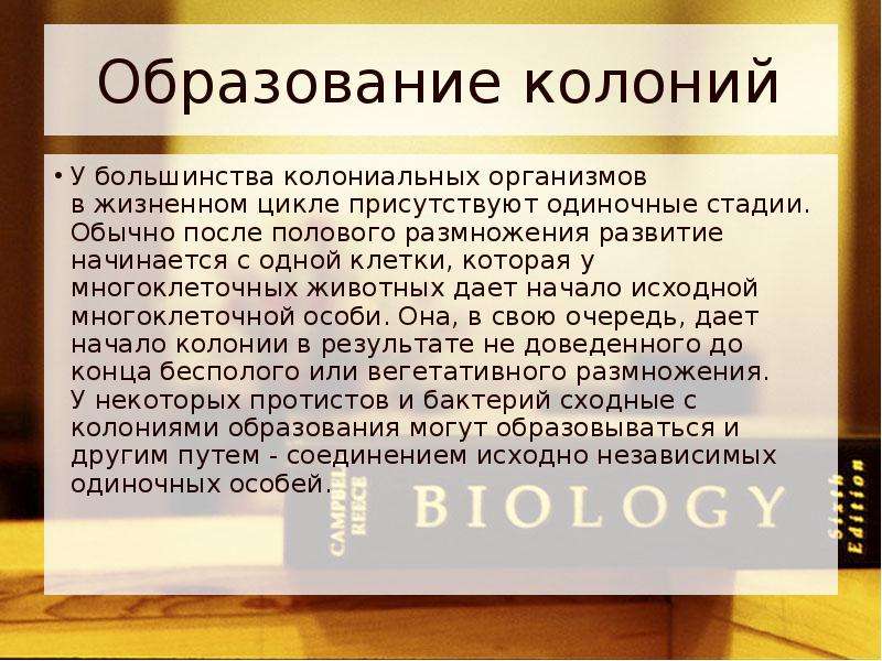 Образование колоний. Образование колонии в биологии. Образуют колонии. Образование в колонии. Образование колоний колониальные.