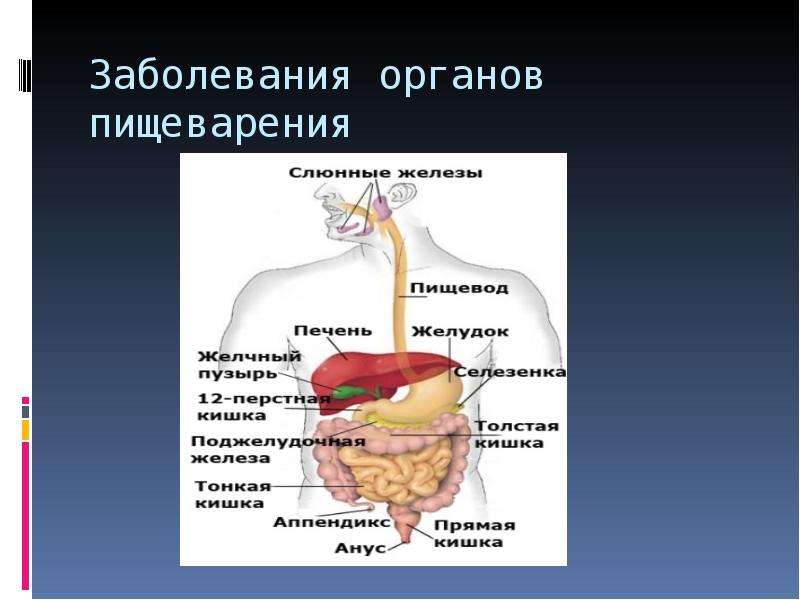 Презентация заболевания пищеварительной системы