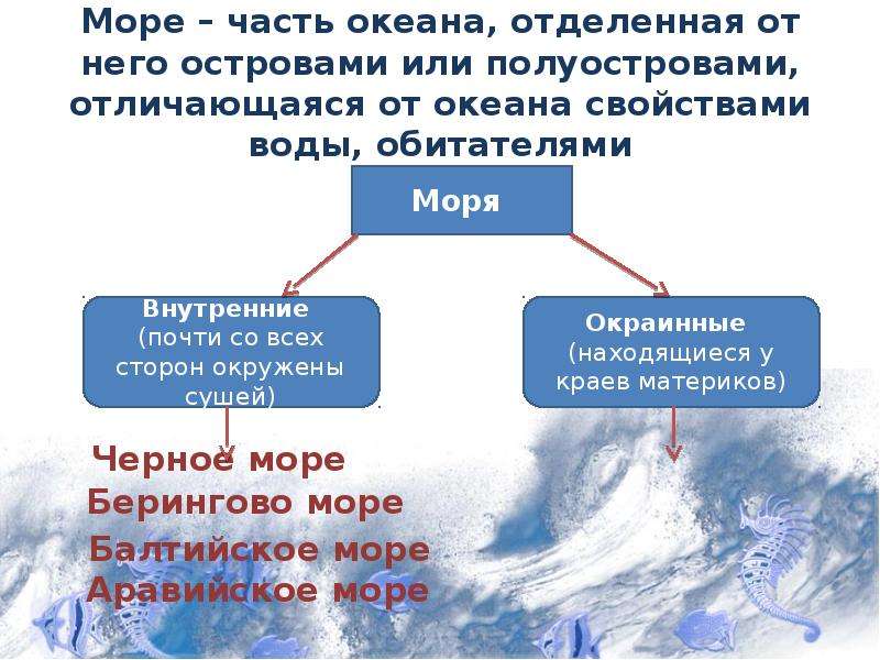 Чем отличается океан от моря