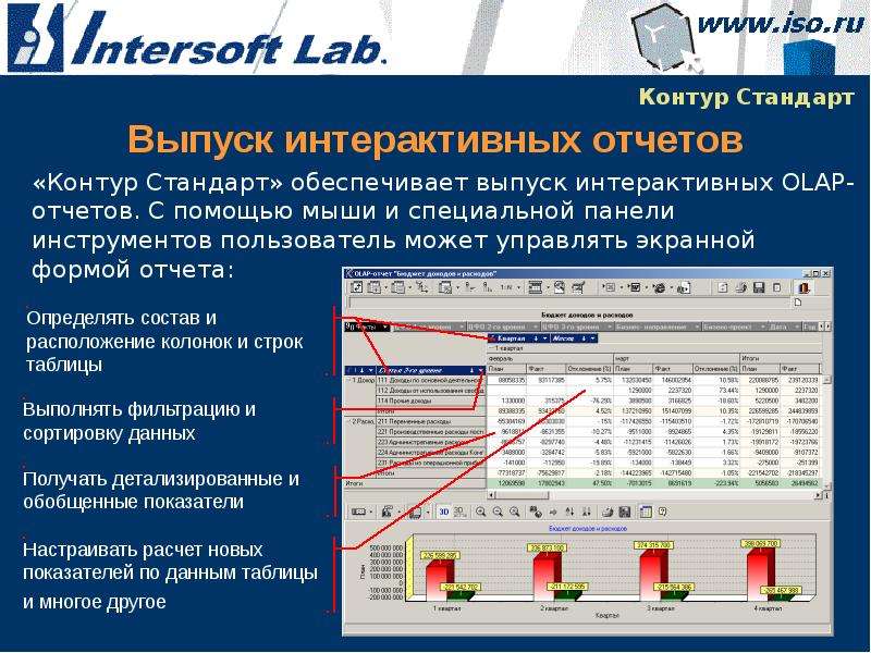 Экранный отчет. Интерактивный отчет. Экранная форма отчеты. Примеры интерактивных отчетов. Интерактивная отчетность.