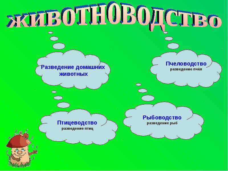 Презентация животноводство 3 класс окружающий мир презентация