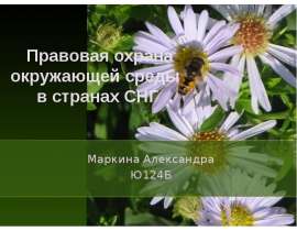 Презентация Правовая охрана окружающей среды в странах СНГ