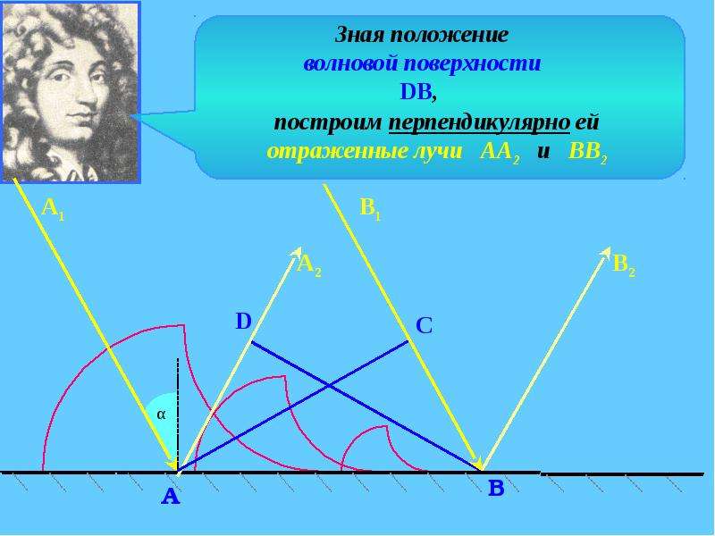 Волновая теория гюйгенса. Принцип Гюйгенса закон отражения света. Волновая поверхность. Закон отражения света 11 класс.