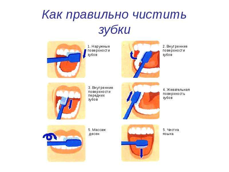 Как правильно чистить зубы схема движений