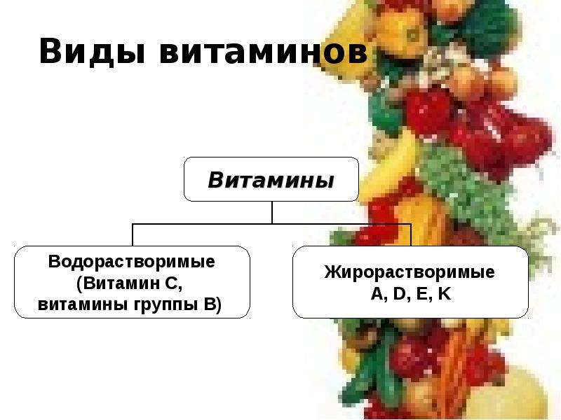 Виды витаминов. Два вида витаминов. Виды водорастворимых витаминов. Виды витаминов жирорастворимые и водорастворимые.