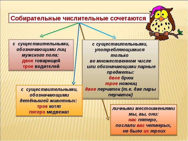 Урок 6 класс собирательные числительные их склонение