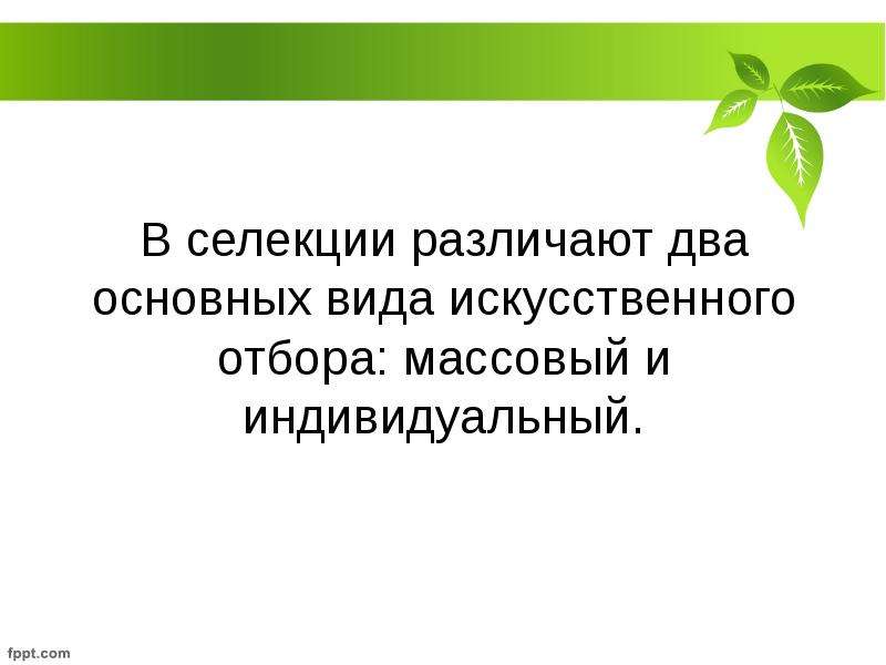 Презентация по теме селекция 10 класс