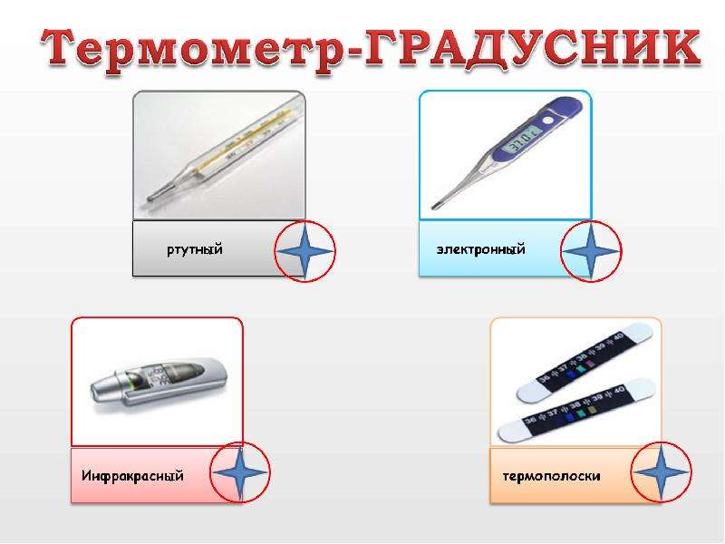 Виды термометров картинка