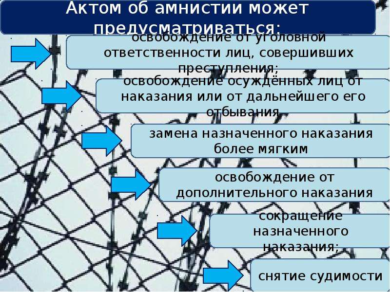 Амнистия помилование судимость презентация