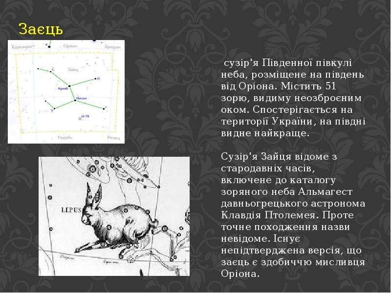 Созвездие заяц презентация