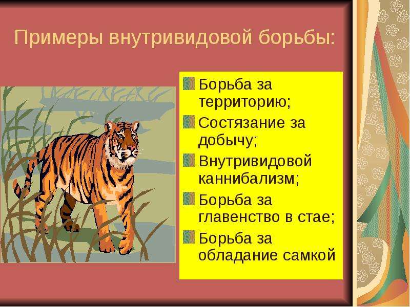 Борьба за существование и естественный отбор движущие силы эволюции 9 класс презентация