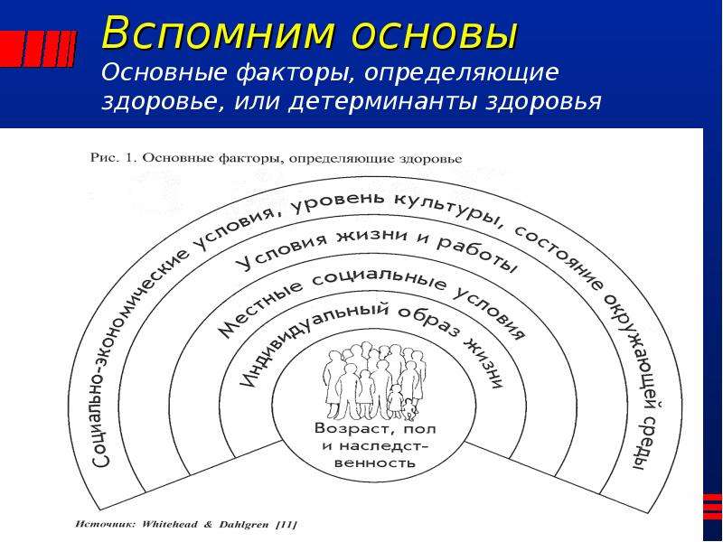 Вспомнить основа. Социальные детерминанты здоровья. Основные детерминанты здоровья. Социально экономические детерминанты здоровья. Окружающая среда и социальные детерминанты здоровья.