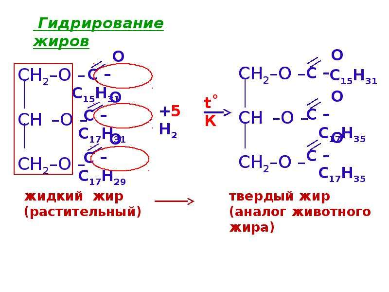 Синтез сложных жиров