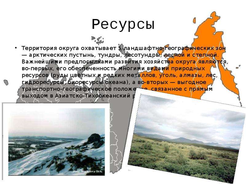 Дайте характеристику зоны тундры природные ресурсы. Характеристика природных ресурсов тундры. Зоны лесотундры природные ресурсы. Природные ресурсы лесотундры в России. Оценка природных ресурсов тундры.