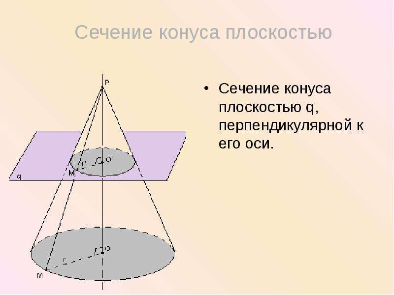 Площадь бокового сечения конуса. Сечение конуса перпендикулярно оси. Сечение конуса плоскостью перпендикулярной оси. Конус сечения конуса плоскостями. Сечение конуса плоскостью.