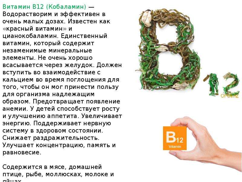 Б 12 от чего помогает. Основные источники витамина в12. Витамин б12 описание. Растительные источники витамина в12. Витамин в12 цианокобаламин содержится.