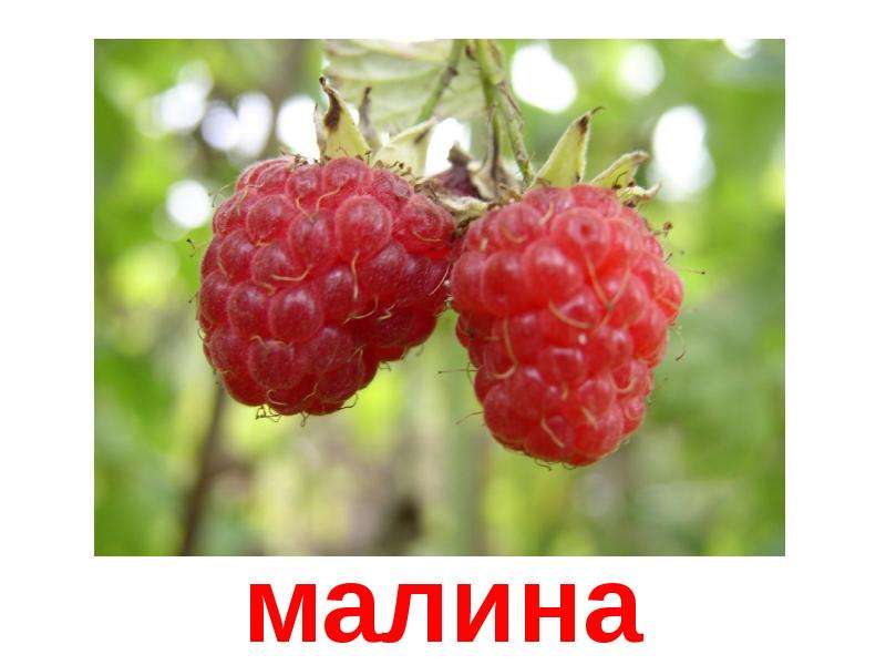 Картинка малина с надписью