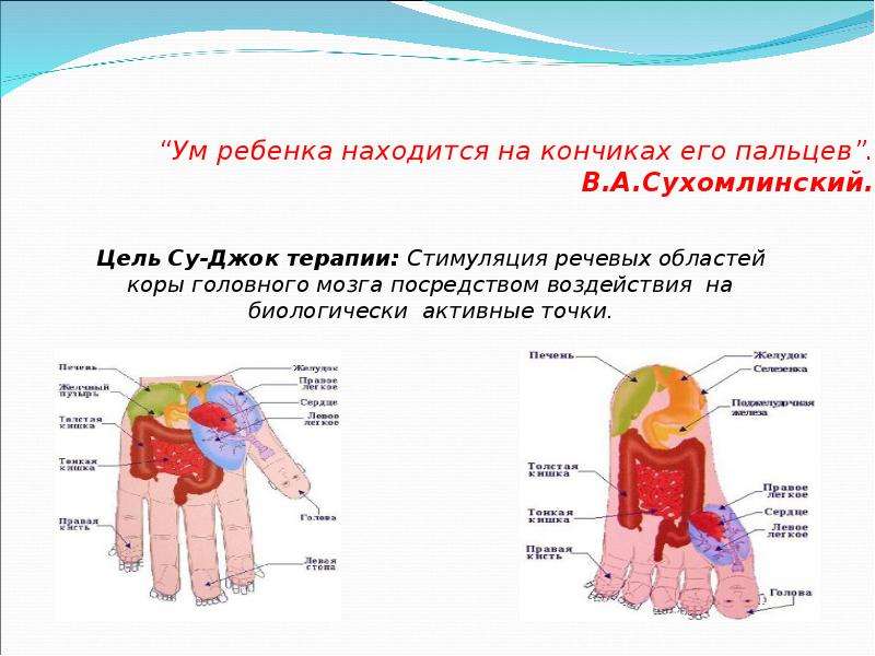 Ум ребенка на кончиках. Ум находится на кончиках пальцев. Ум ребенка на кончиках пальцев Сухомлинский.